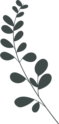 Decoración floral inferior para testimonios