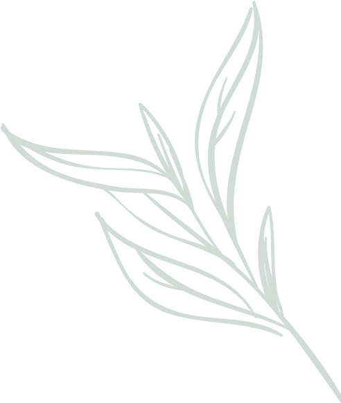 Decoración floral para sección de contacto